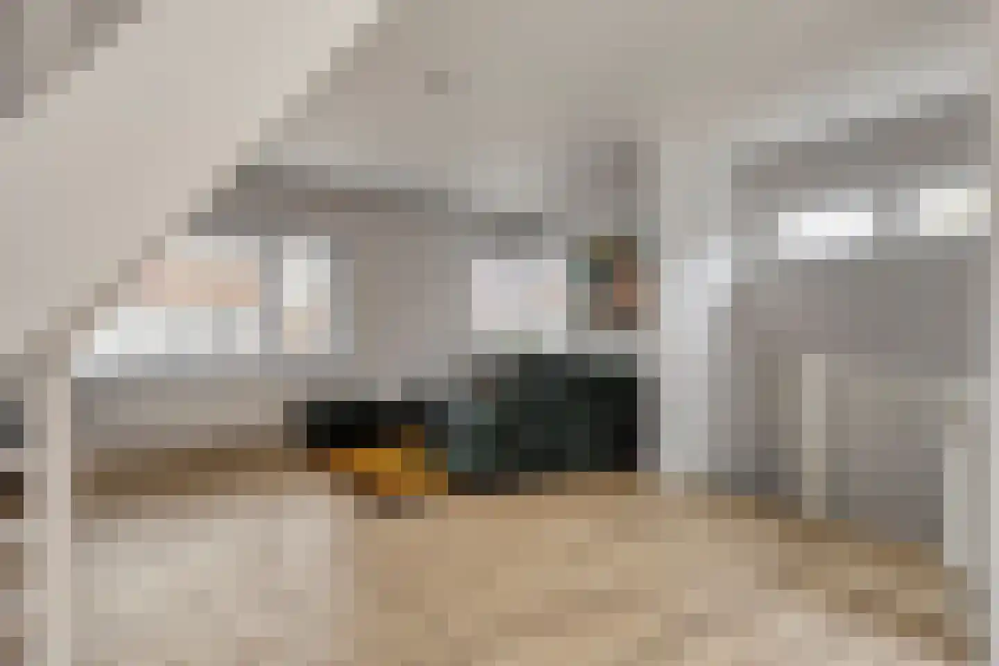 Pioenroosstraat 2 Eindhoven thumbnail 8