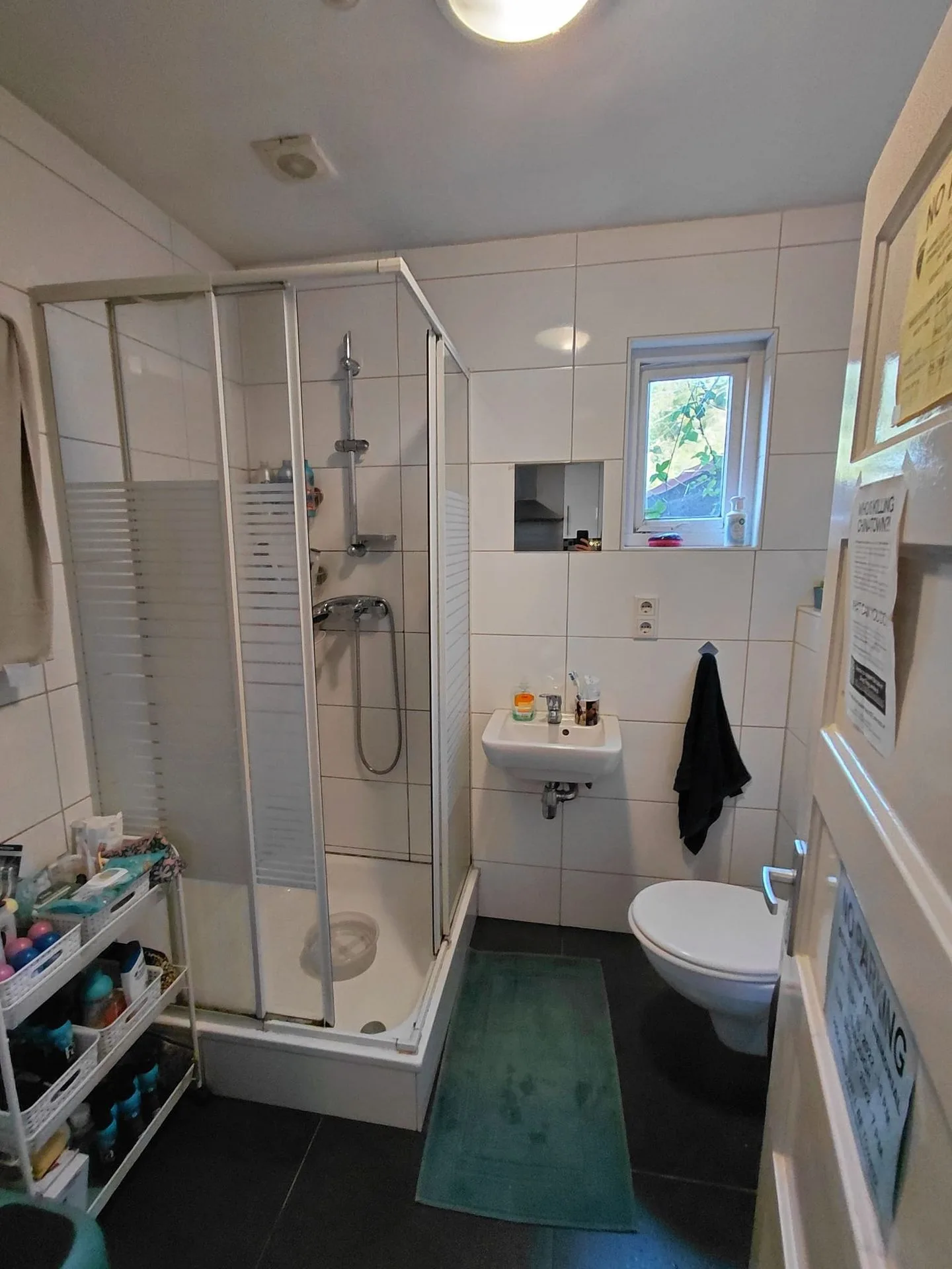 Pioenroosstraat 24 Eindhoven thumbnail 8