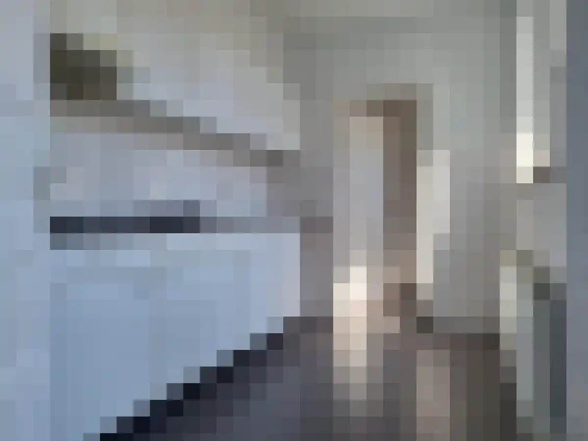 Pioenroosstraat 30 Eindhoven thumbnail 4