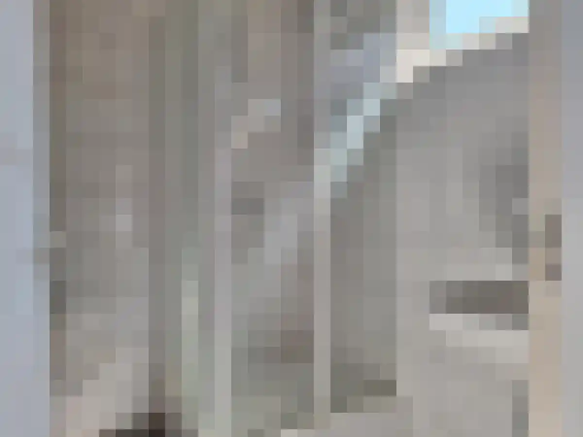 Pioenroosstraat 30 Eindhoven thumbnail 5