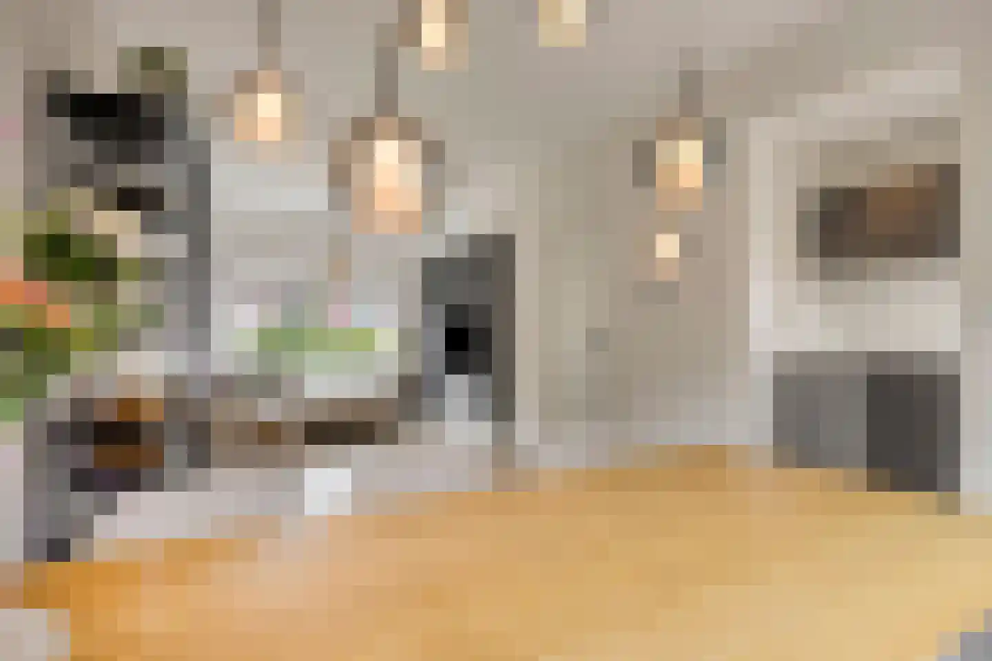 Pioenroosstraat 5 Eindhoven thumbnail 13