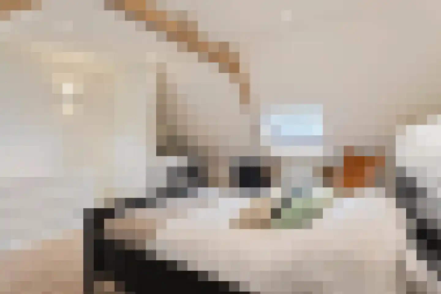 Pioenroosstraat 5 Eindhoven thumbnail 30