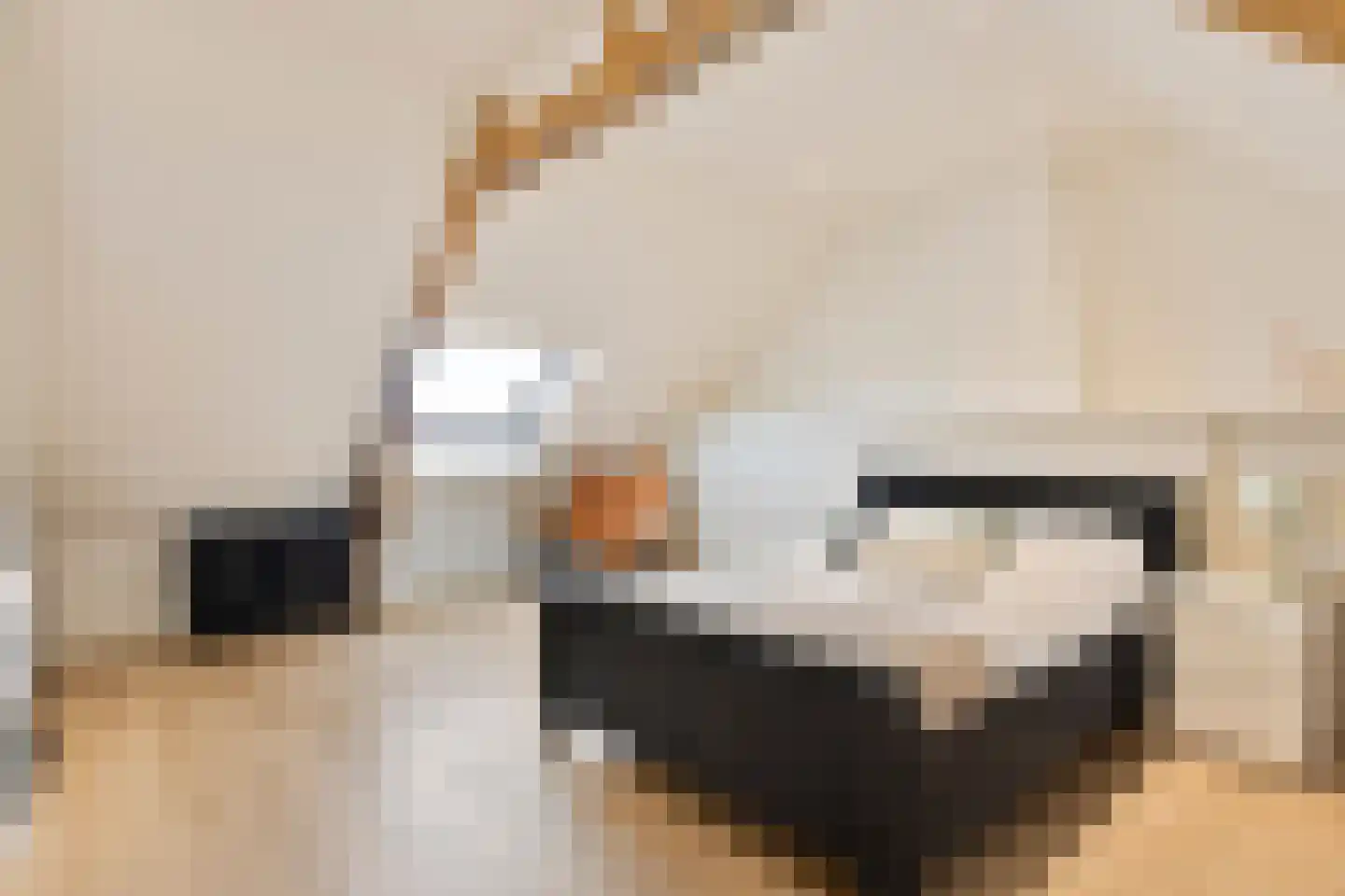 Pioenroosstraat 5 Eindhoven thumbnail 32