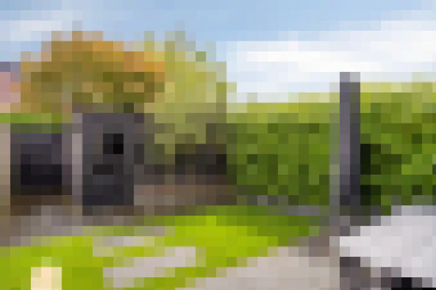 Pioenroosstraat 5 Eindhoven thumbnail 34