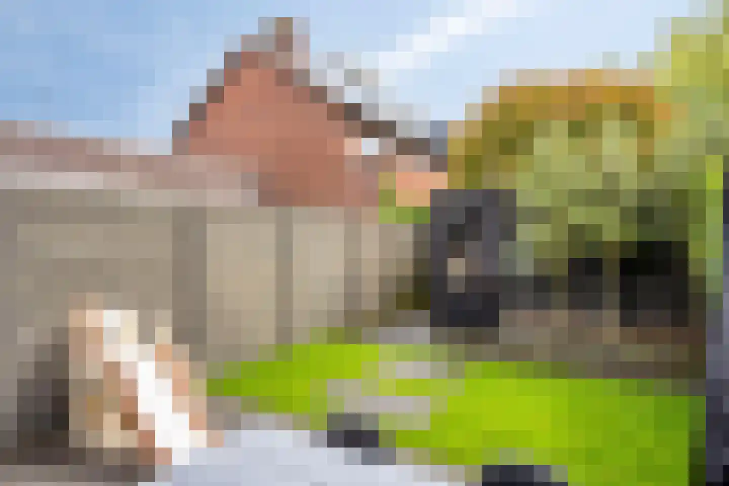 Pioenroosstraat 5 Eindhoven thumbnail 35