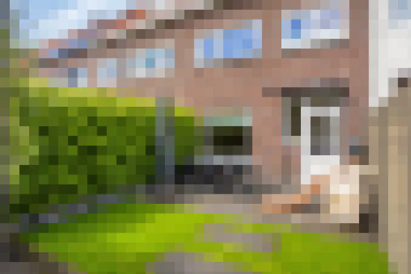 Pioenroosstraat 5 Eindhoven thumbnail 36