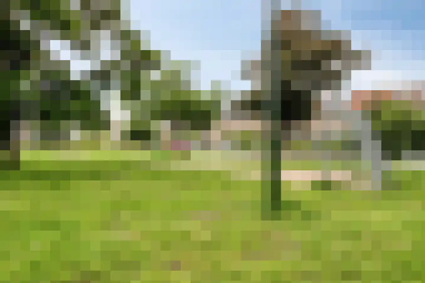 Pioenroosstraat 5 Eindhoven thumbnail 39