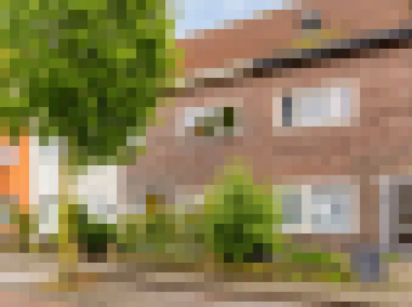 Pioenroosstraat 5 Eindhoven thumbnail 5