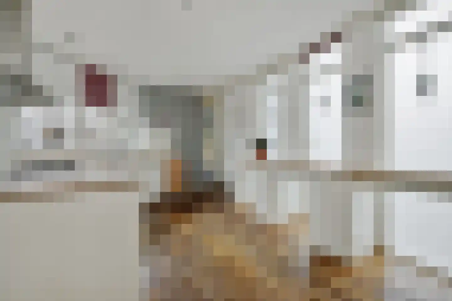 Pioenroosstraat 6 Uden thumbnail 18