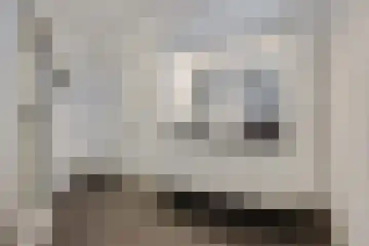 Pioenroosstraat 6 Uden thumbnail 23