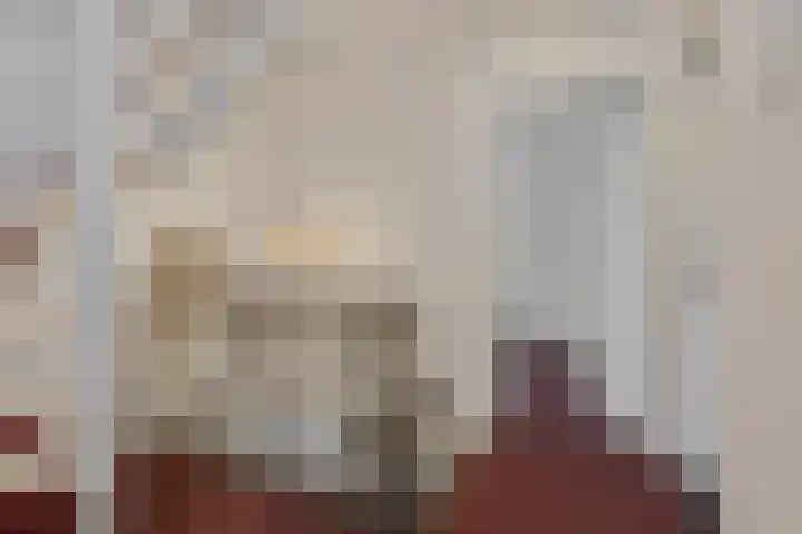 Pioenroosstraat 6 Uden thumbnail 28