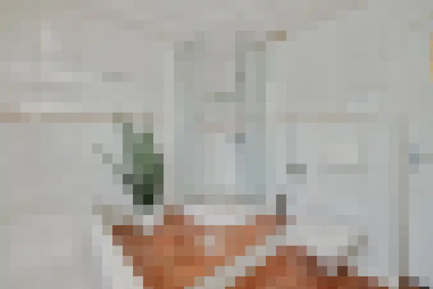 Pioenroosstraat 6 Uden thumbnail 30
