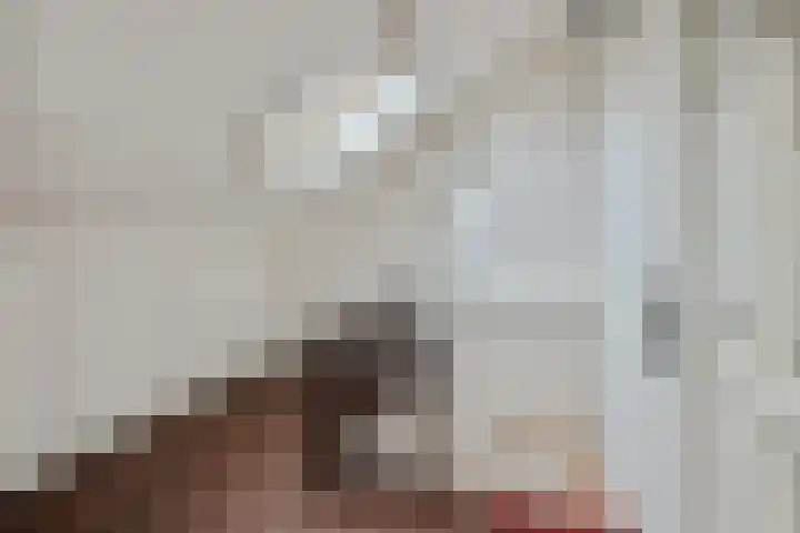 Pioenroosstraat 6 Uden thumbnail 37