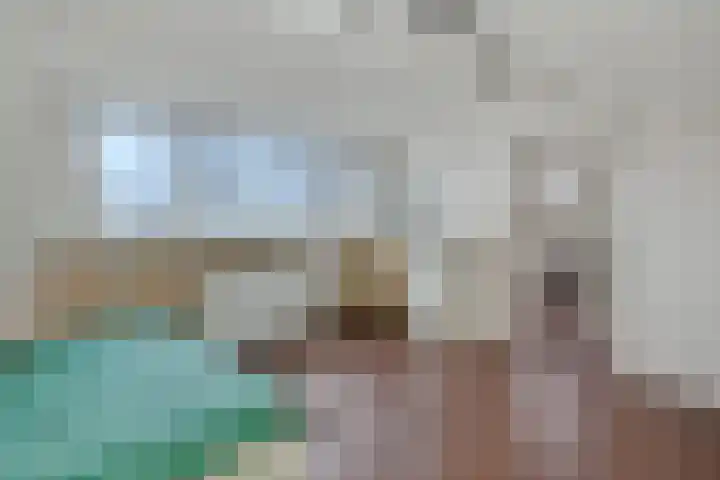 Pioenroosstraat 6 Uden thumbnail 38