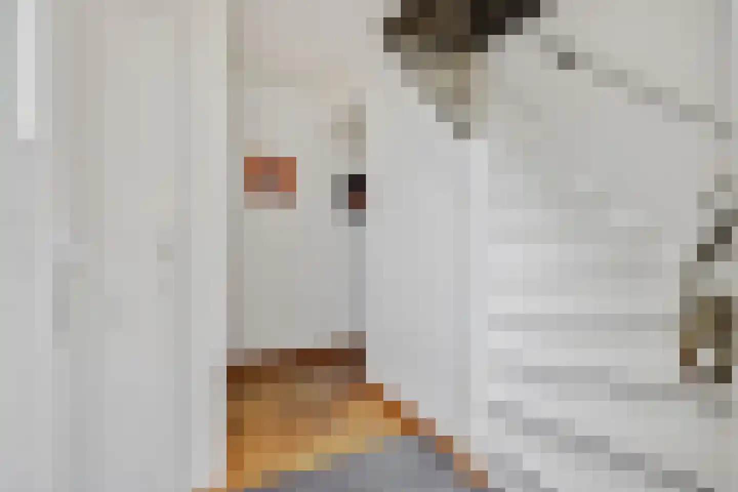 Pioenroosstraat 6 Uden thumbnail 9