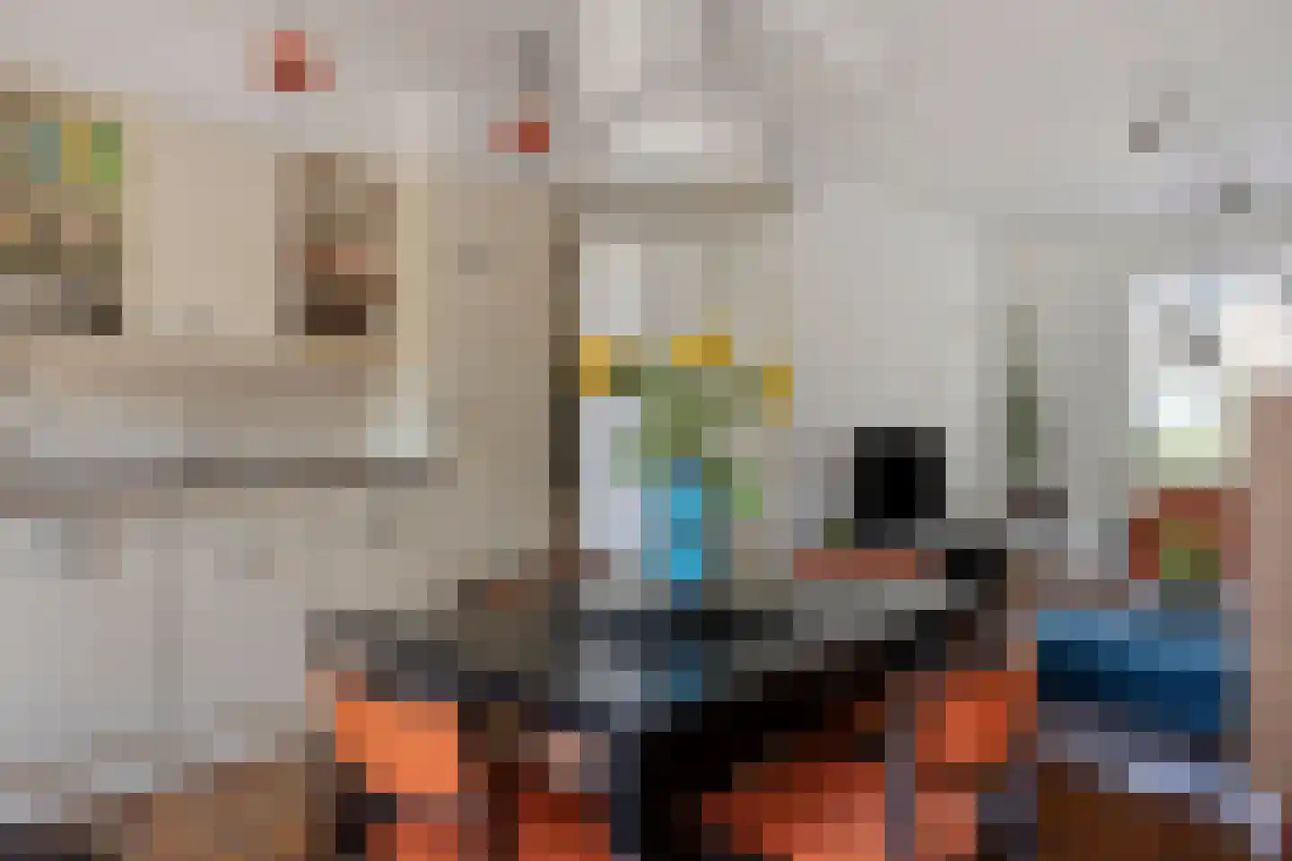 Pioenroosstraat 61 Eindhoven thumbnail 12