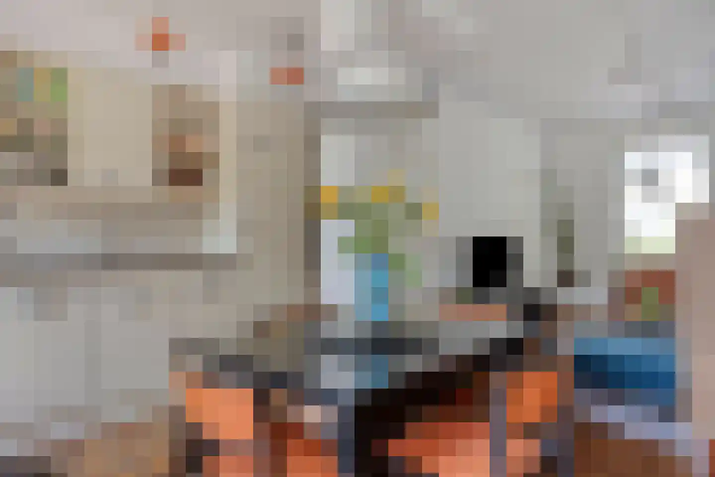 Pioenroosstraat 61 Eindhoven thumbnail 14