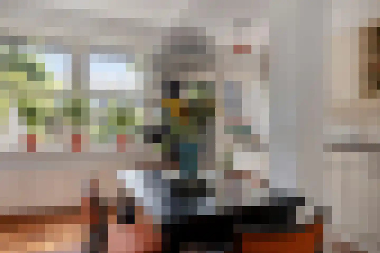 Pioenroosstraat 61 Eindhoven thumbnail 15