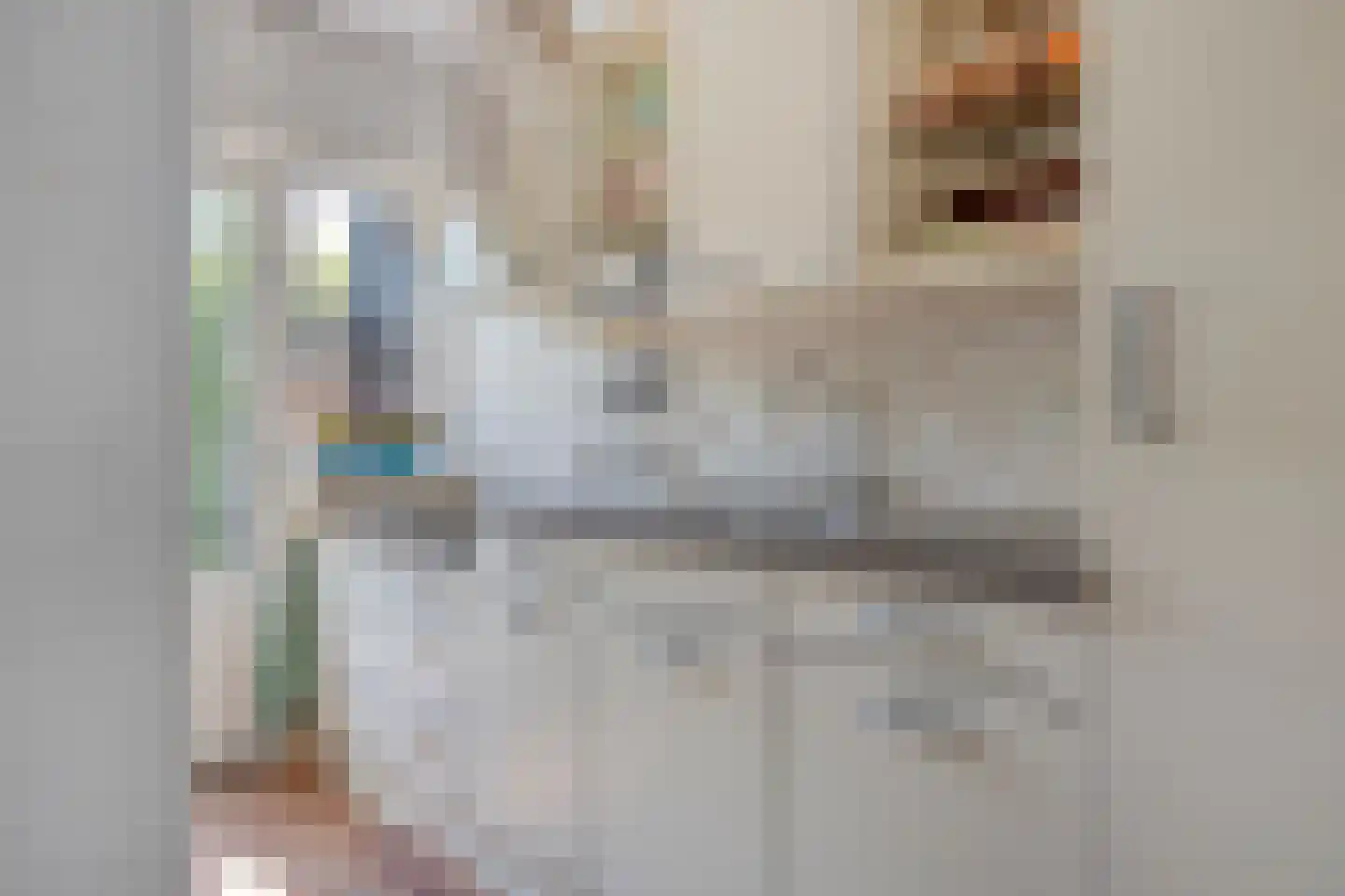 Pioenroosstraat 61 Eindhoven thumbnail 17