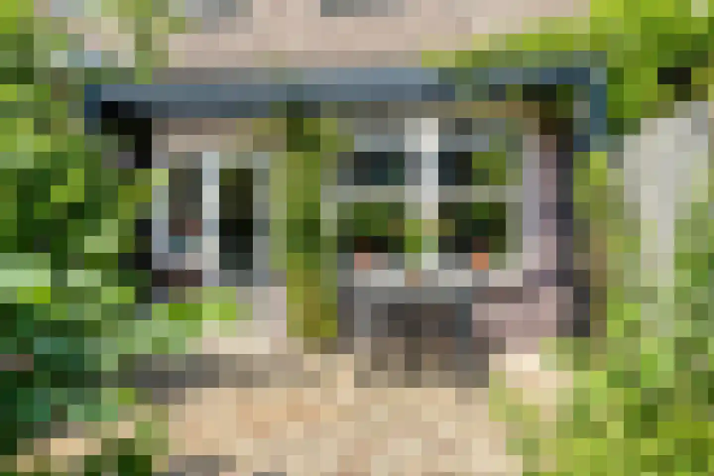 Pioenroosstraat 61 Eindhoven thumbnail 29