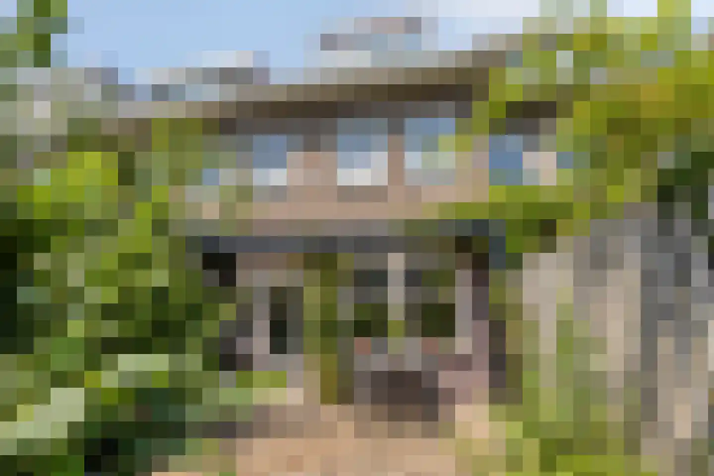 Pioenroosstraat 61 Eindhoven thumbnail 30