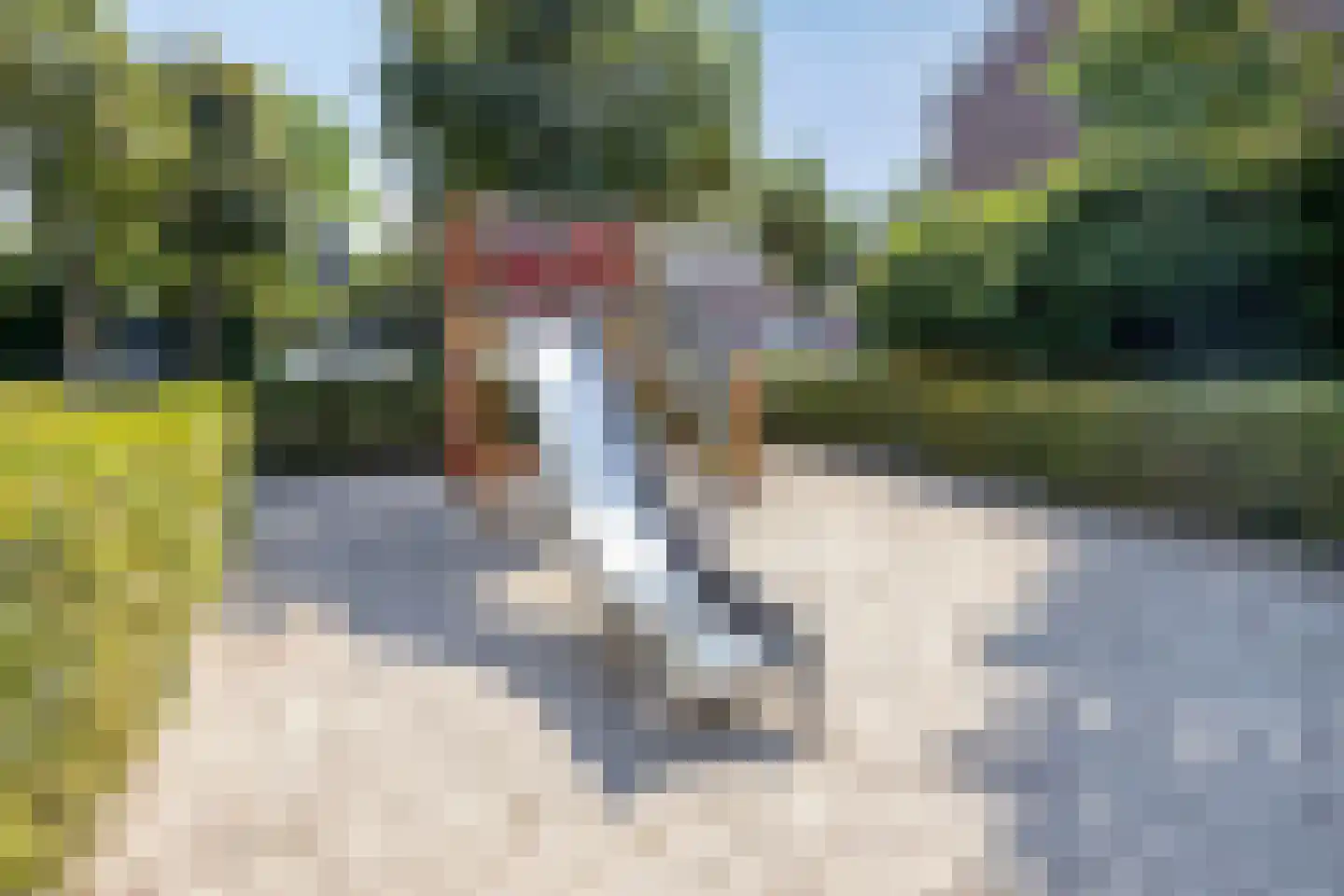 Pioenroosstraat 61 Eindhoven thumbnail 35