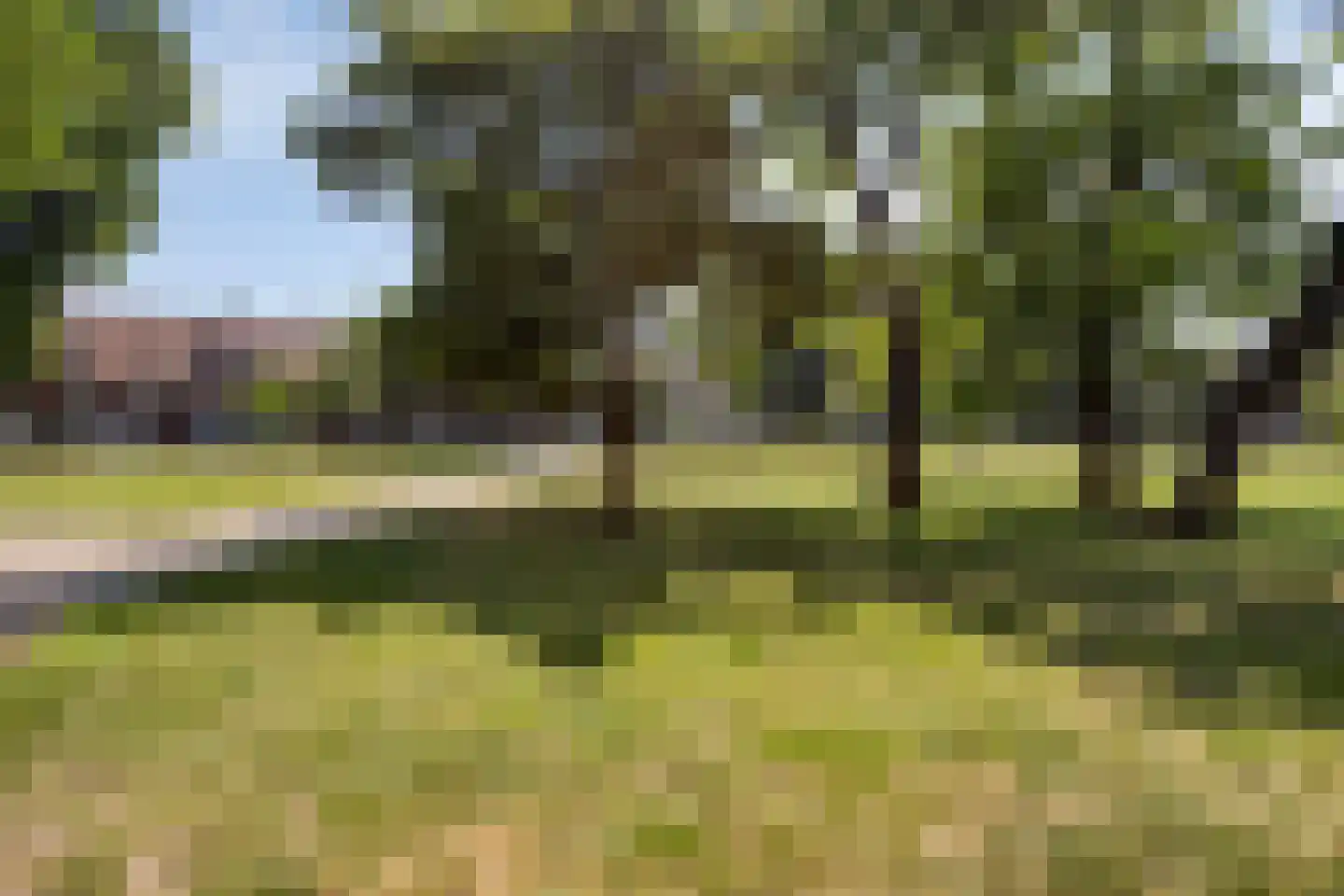 Pioenroosstraat 61 Eindhoven thumbnail 37