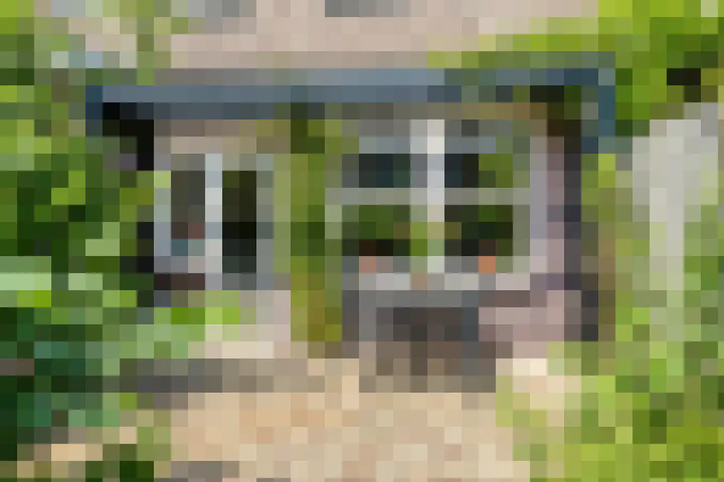Pioenroosstraat 61 Eindhoven thumbnail 4