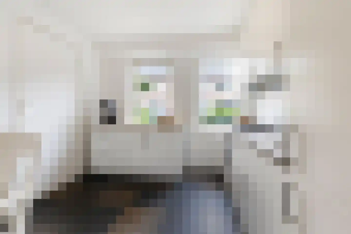 Pioenroosstraat 63 Eindhoven thumbnail 10