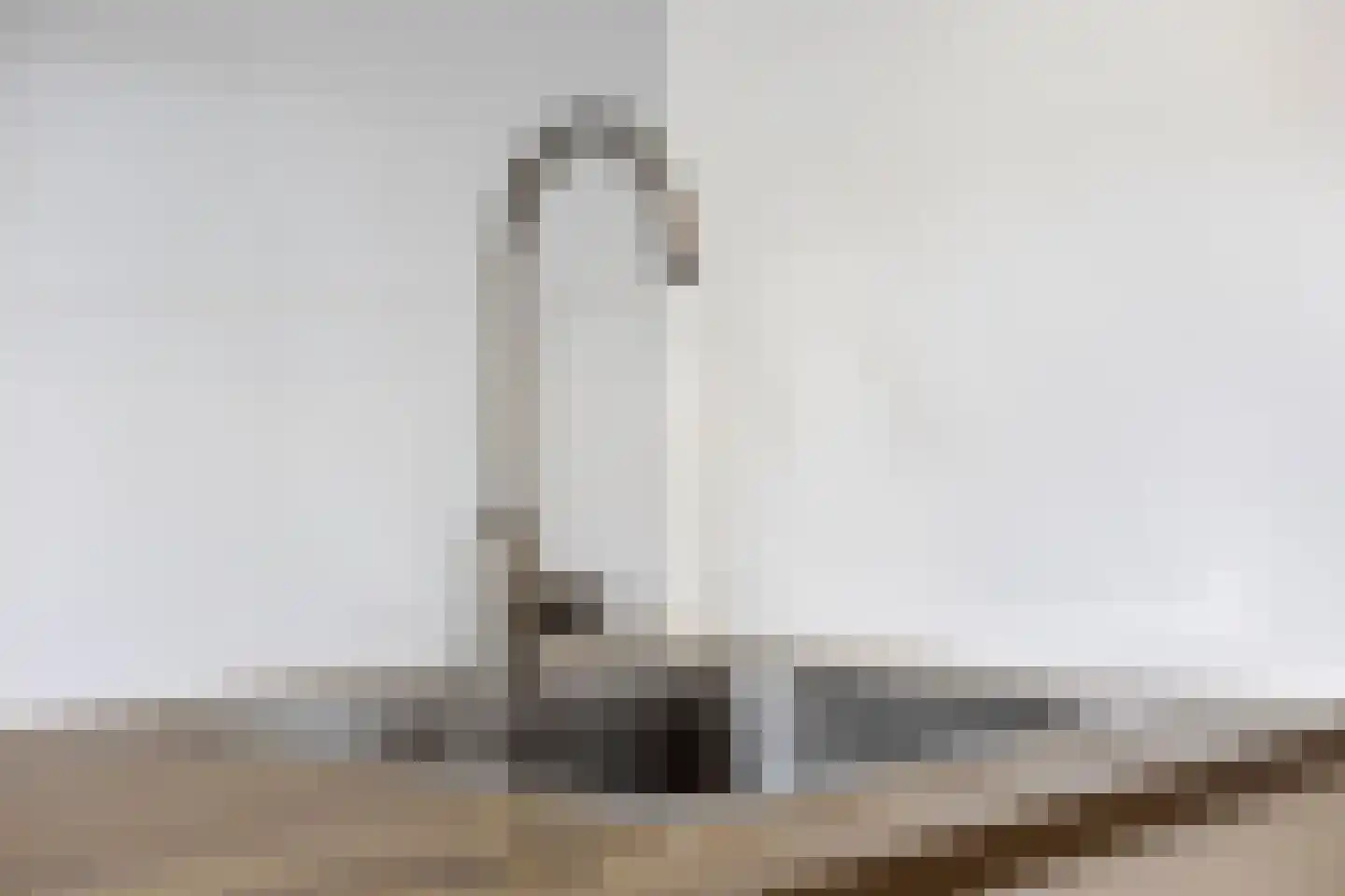Pioenroosstraat 63 Eindhoven thumbnail 13