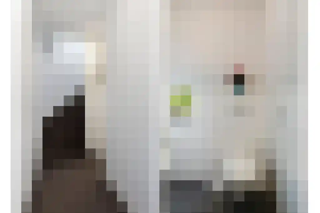 Pioenroosstraat 63 Eindhoven thumbnail 30