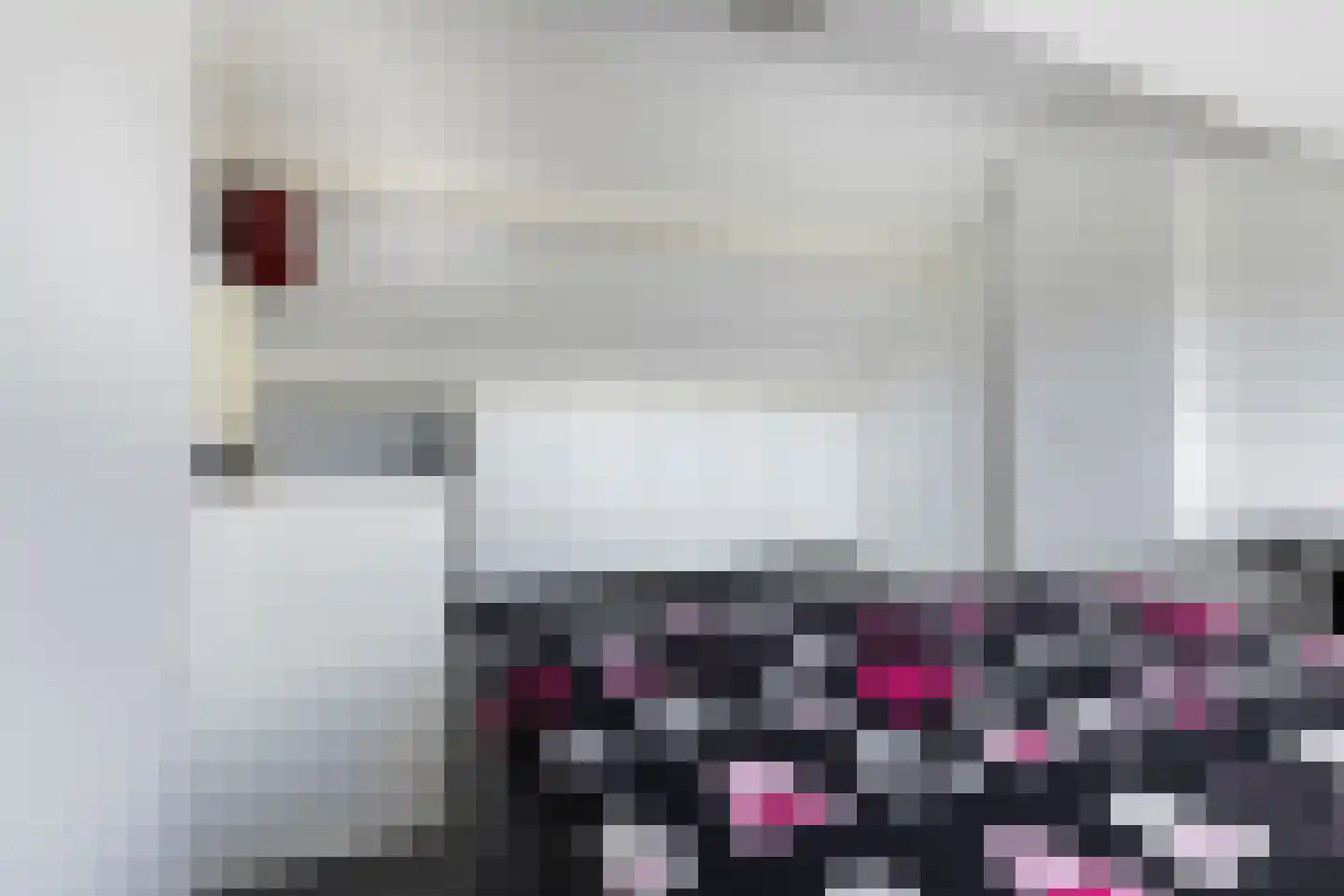 Pioenroosstraat 63 Eindhoven thumbnail 32