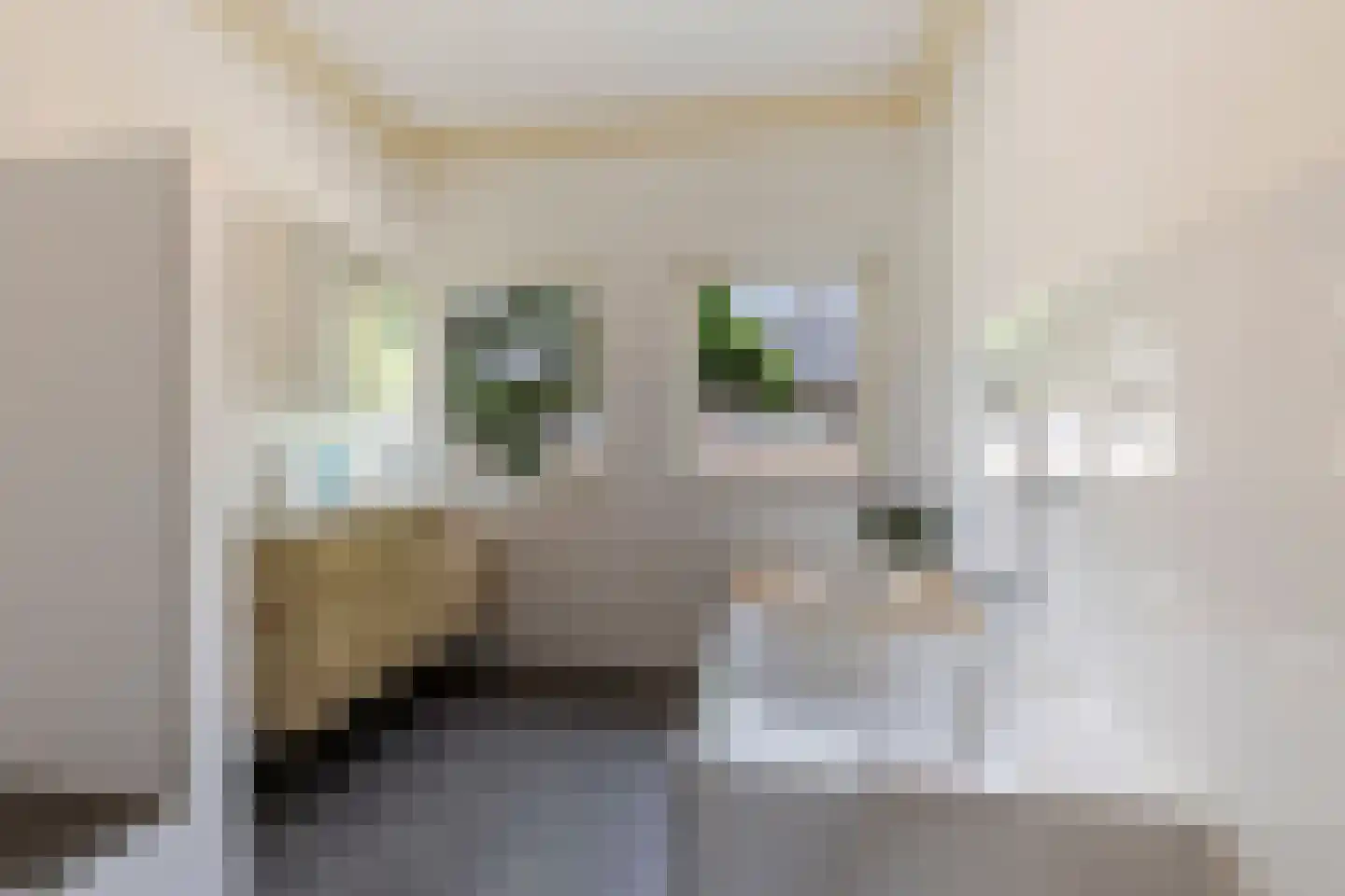 Pioenroosstraat 63 Eindhoven thumbnail 4