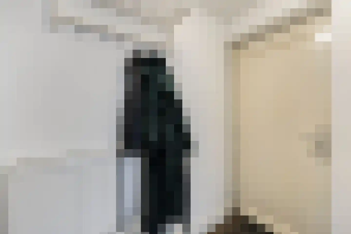 Pioenroosstraat 63 Eindhoven thumbnail 5
