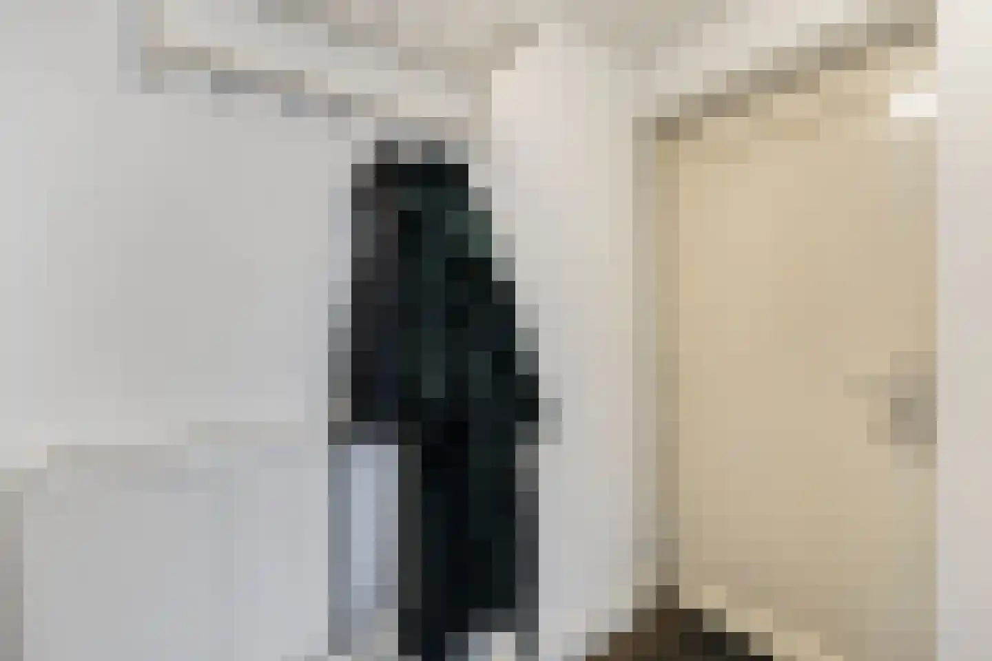 Pioenroosstraat 63 Eindhoven thumbnail 6