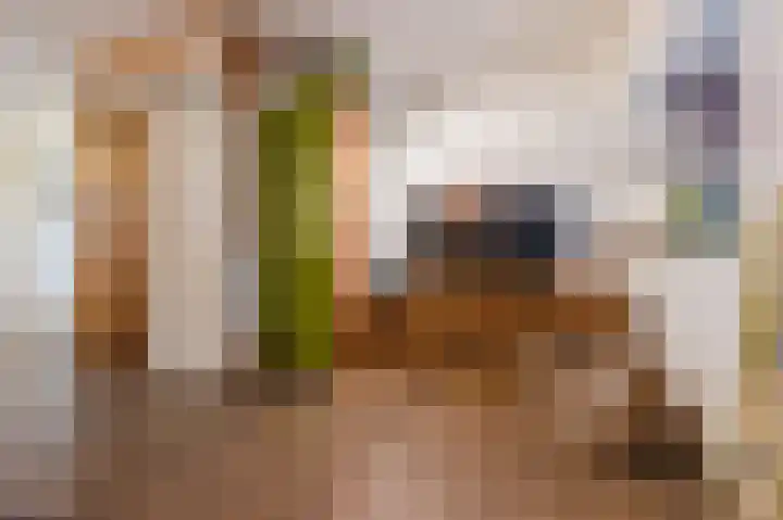 Pioenroosstraat 65 Eindhoven thumbnail 18