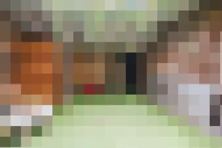 Pioenroosstraat 65 Eindhoven thumbnail 30
