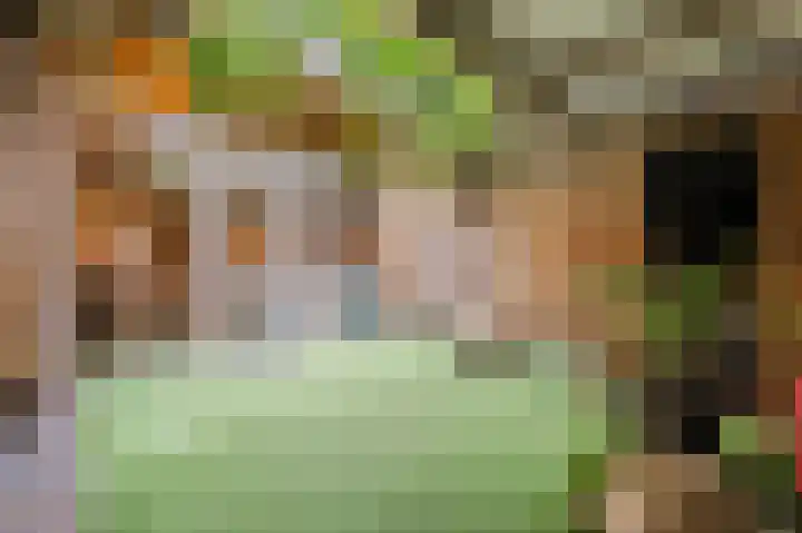 Pioenroosstraat 65 Eindhoven thumbnail 33