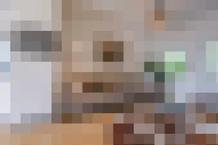 Pioenroosstraat 65 Eindhoven thumbnail 39