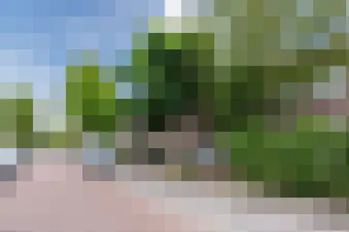 Pioenroosstraat 65 Eindhoven thumbnail 4