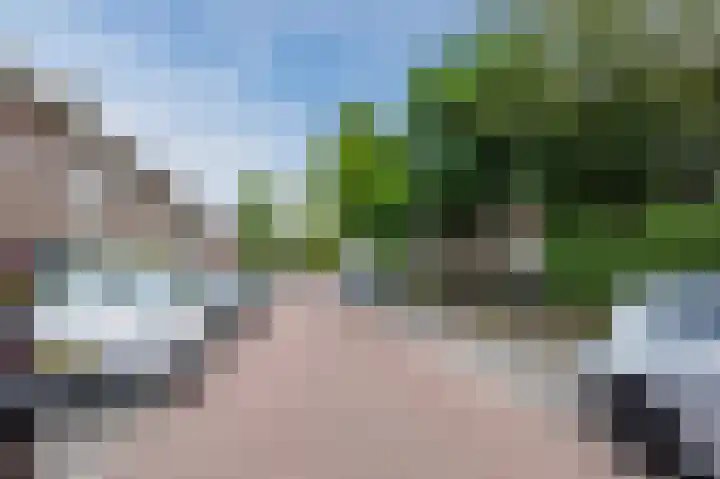 Pioenroosstraat 65 Eindhoven thumbnail 5