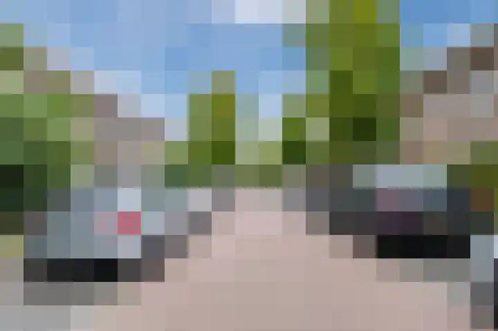 Pioenroosstraat 65 Eindhoven thumbnail 6