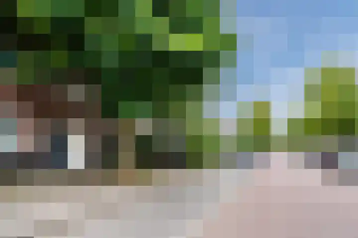 Pioenroosstraat 65 Eindhoven thumbnail 7