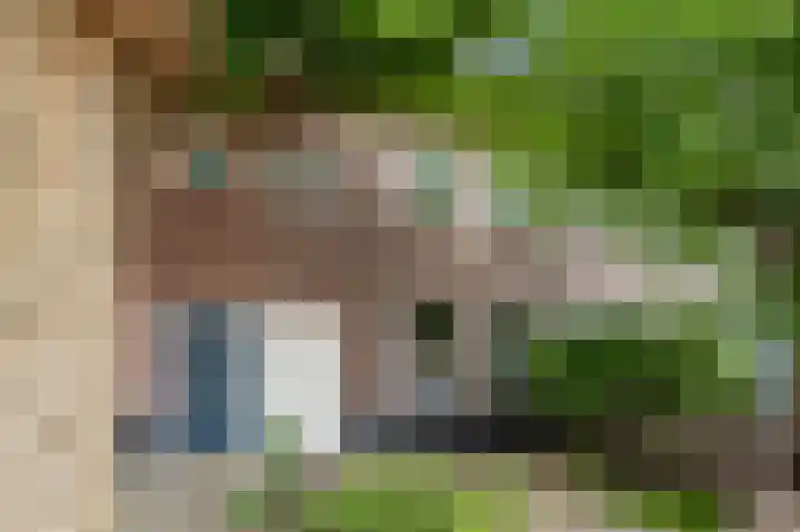 Pioenroosstraat 65 Eindhoven thumbnail 8