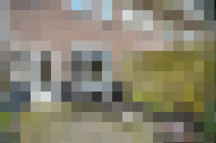 Pioenroosstraat 83 Eindhoven thumbnail 18