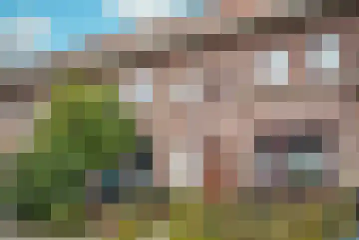 Pioenroosstraat 83 Eindhoven thumbnail 6