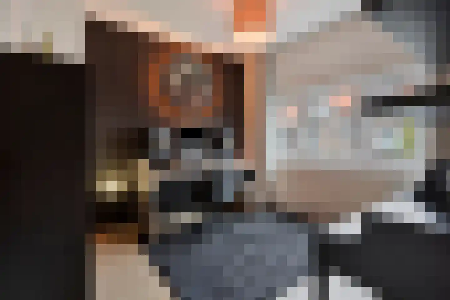 Pioenroosstraat 9 Eindhoven thumbnail 13