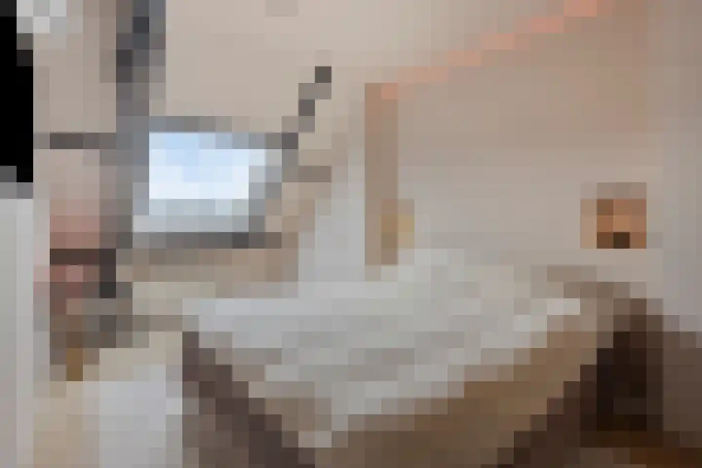Pioenroosstraat 9 Eindhoven thumbnail 15