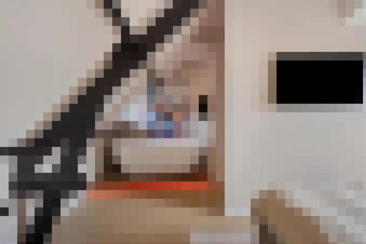 Pioenroosstraat 9 Eindhoven thumbnail 16