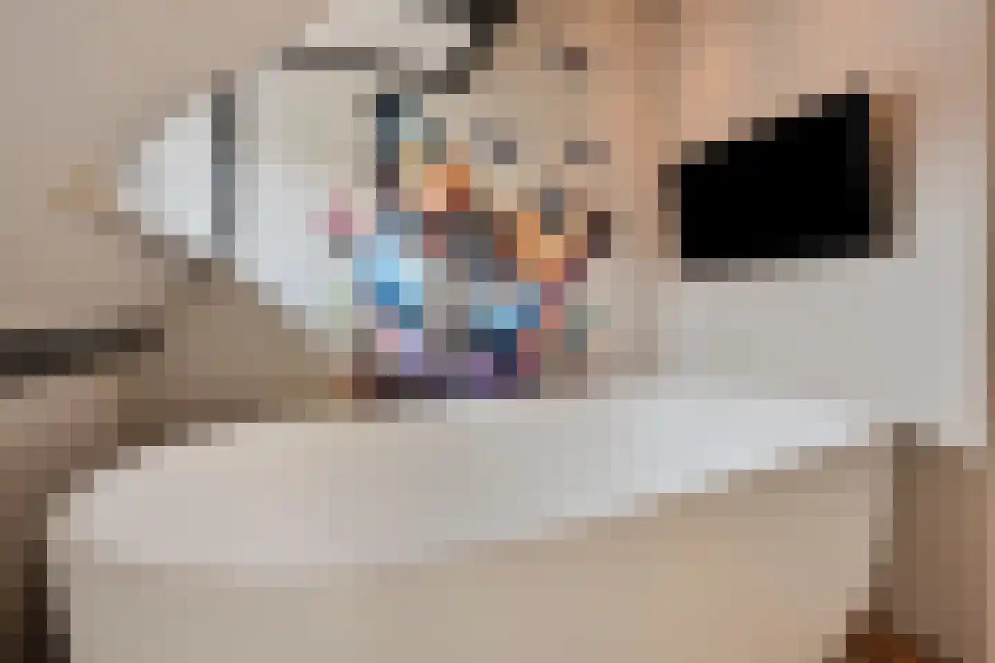 Pioenroosstraat 9 Eindhoven thumbnail 18